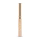 Eveline Cosmetics Prof Art Make-Up коректор - хайлайтер 2в1