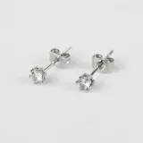 WOD Only сережки 5* № 1 silver