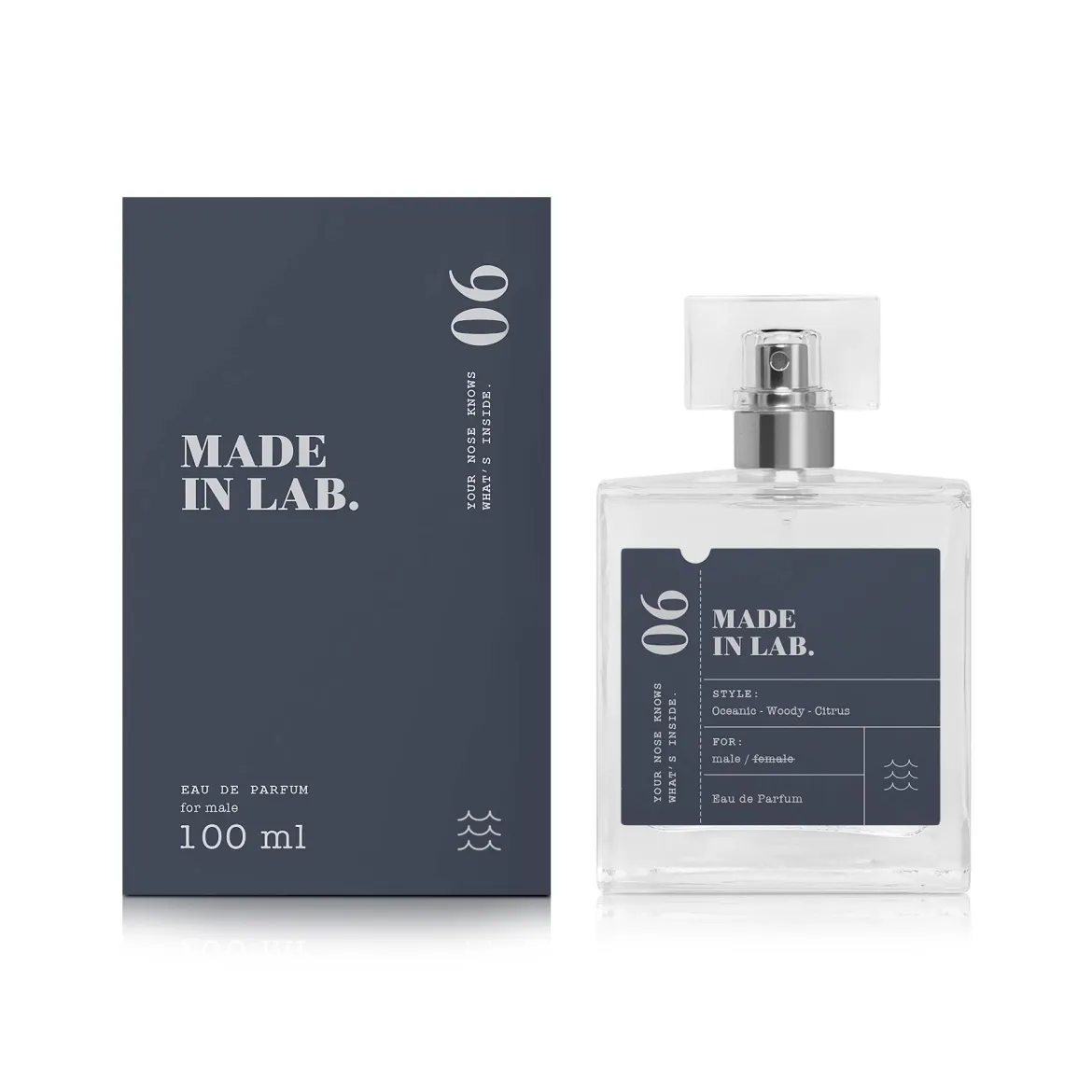 Made in Lab парфумована вода для чоловіків 006 vs Paco Rabanne Invictus 100мл — Photo 1