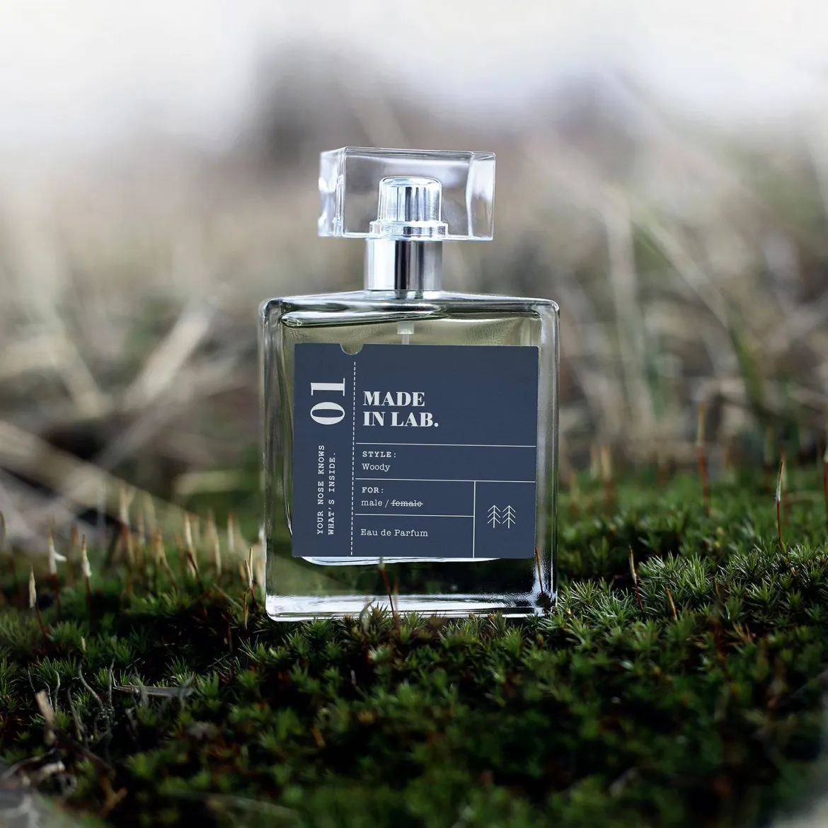 Made in Lab парфумована вода для чоловіків 001 vs Paco Rabanne 1 Million 100мл — Photo 2